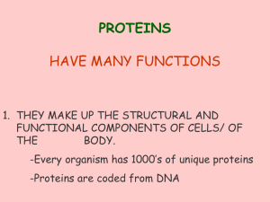 proteins - Fort Thomas Independent Schools