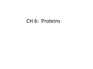 CH 6: Proteins and Amino Acids