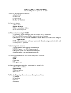 Partial Answer Key: Practice Exam 3