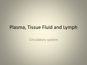 Circulation, Plasma, Tissue Fluid and Lymph 2011