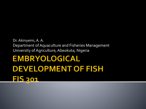 EMBRYOLOGICAL DEVELOPMENT OF FISH
