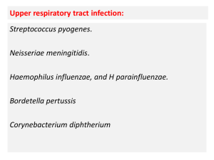 Upper respiratory tract infection: Streptococcus pyogenes