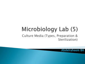Microbiology Lab (5)