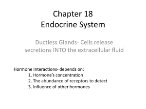 Chapter 18 Endocrine System