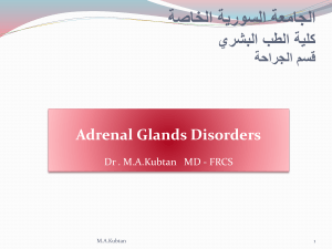 Function of the adrenal glands