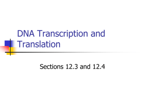 Transcription and translation notes