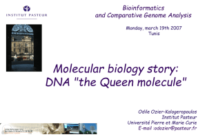 from DNA « the Queen molecule