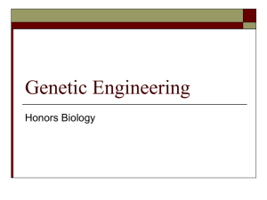 Genetic Engineering HS