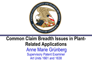 Common Claim Breadth Issues in Plant