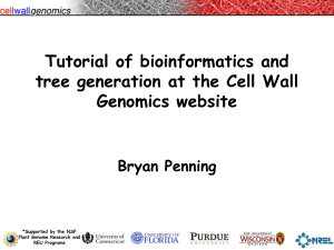 Tree Construction - Cell Wall Genomics