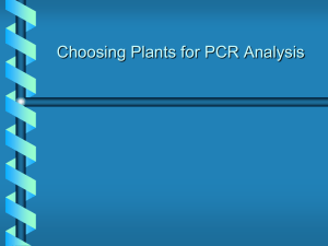 Choosing Plant Species