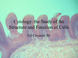 Cytology: the Study of the Structure and Function of Cells