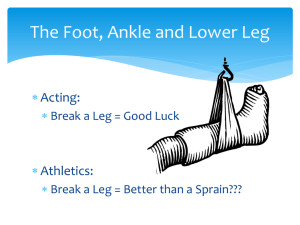 prevent an ankle injury.