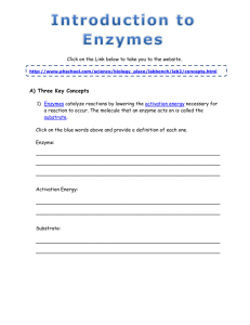 1 - Online Enzyme Activity - Haynes