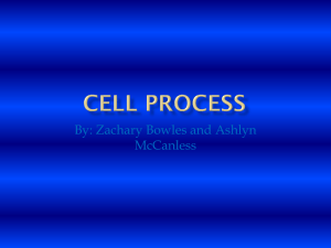 CELL PROCESS