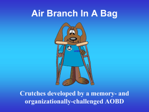 Air Branch in a Bag