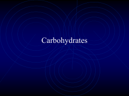 Carbohydrate Worksheet Answer Key