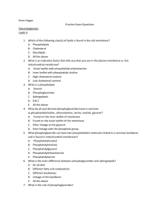 Block 1 Unit 3 Practice Exam Questions
