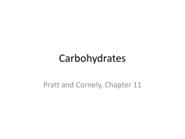 Carbohydrate Worksheet Answer Key