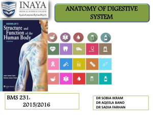 lect - 7 digestive system