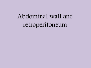 Abdominal wall and retroperitoneum
