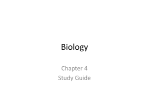 Biology Chapter 4 Study Guide