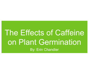 The Effects of Caffeine on Plant Germination - NDsciencefair
