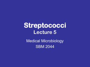 medmicro5-streptococci