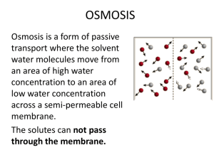 osmosis - rosedalegrade12biology