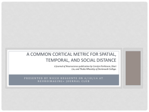 A common cortical metric for spatial, temporal, and