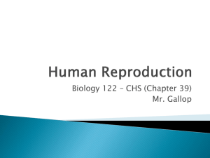 Human Reproduction - Canterbury High Gallop