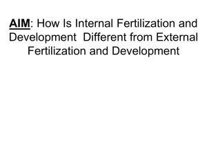 Internal vs. external fertilization and development