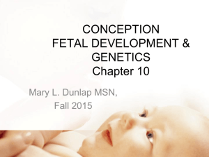 Lecture 1A Genetics Conception Fall 2015 Student's