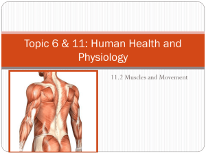 Topic 6 & 11: Human Health and Physiology
