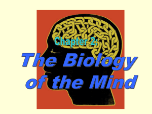 Biology of the Mind - Simpson County Schools