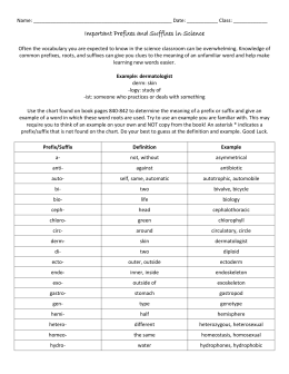 stem word vs word root