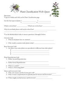 Plant Classification WebQuest