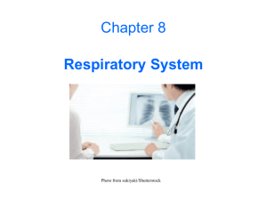 Respiratory (from Evolve)