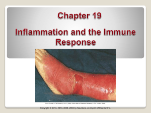 Chapter 19, Inflammation and the Immune Response