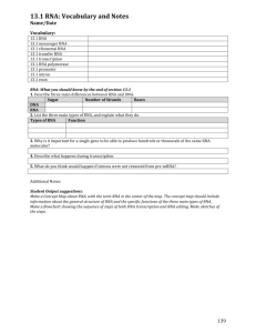 13.1 RNA