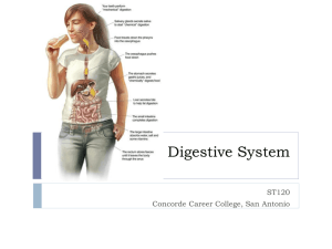 ST120 Digestive System