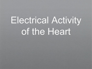 02 Electrical Activity of the Heart