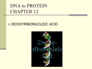 Nucleic Acids bio
