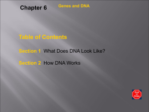 Genetics Chapter 6