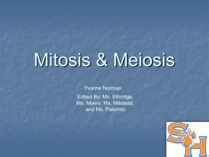 Meiosis & Mitosis - Sam Houston State University