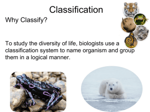 taxonomy - Alvin ISD