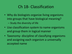 Ch 18- Classification