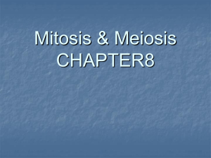 meiosis - Doral Academy Preparatory