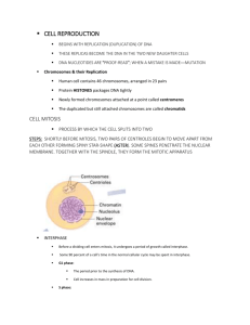 addendum lecture notes 3 cell reproduction