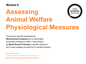 Assessing Animal Welfare - World Animal Protection